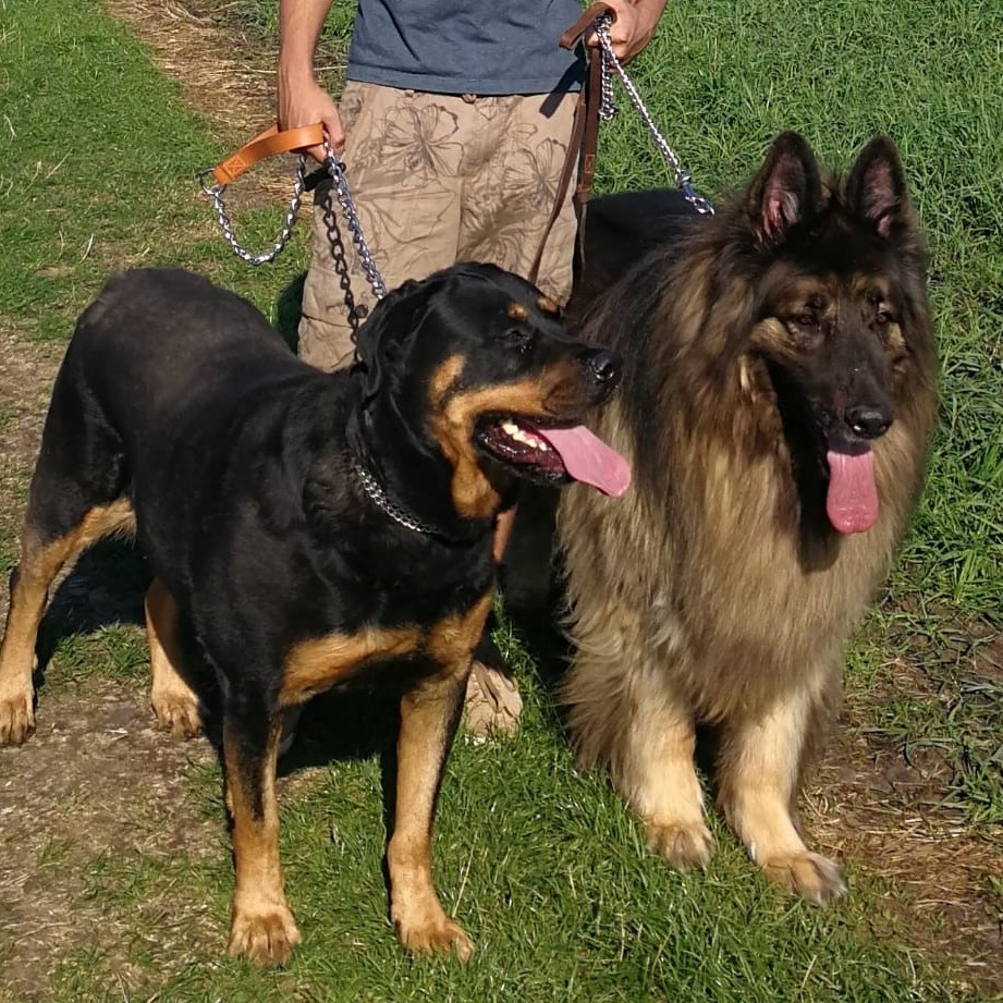 ROCKY AND ZENA - LONDON